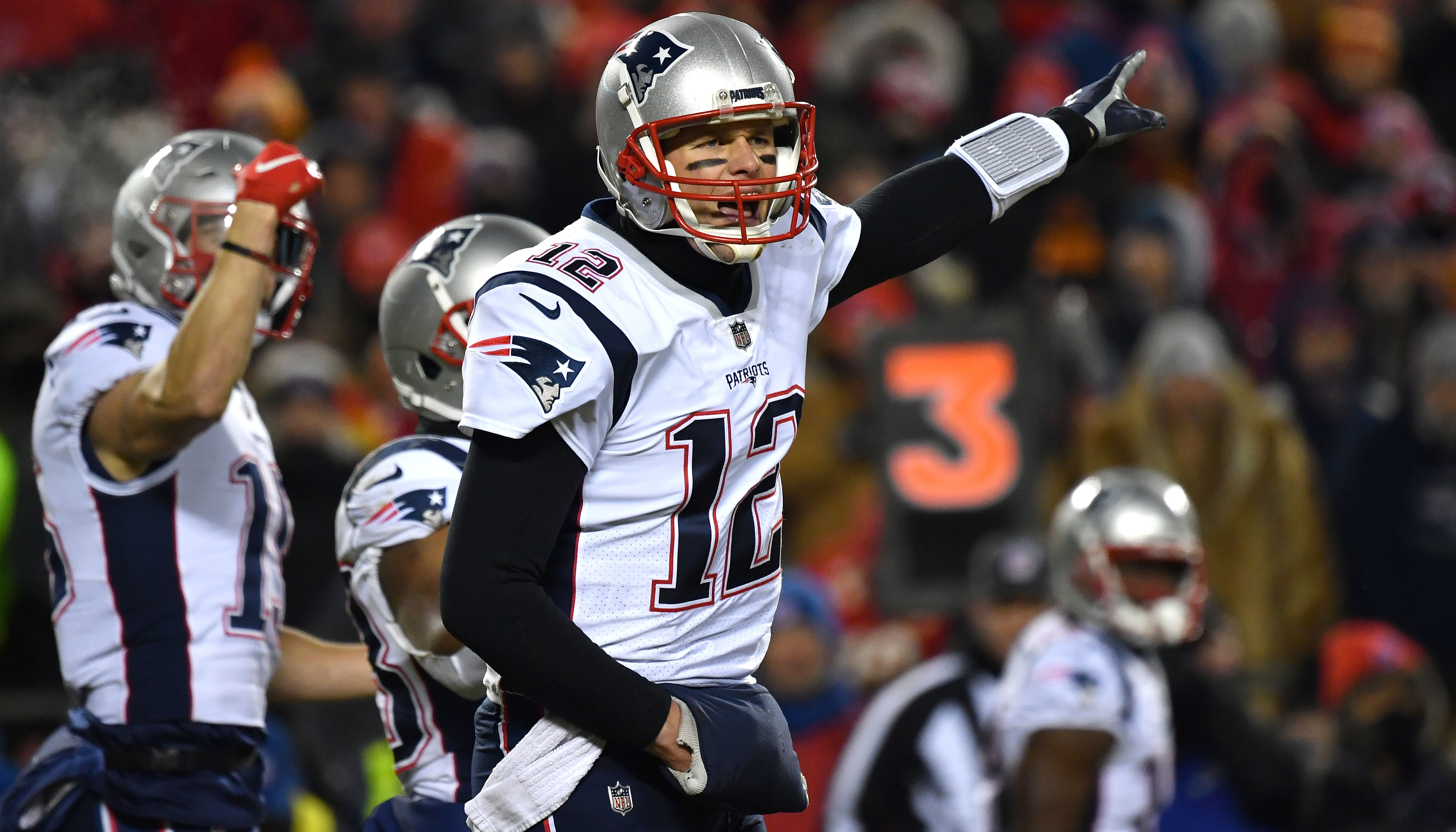bradypatriots240119